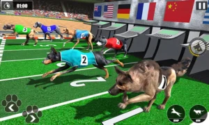 Cách Chơi Game Nhanh Đua Chó Tại 789Win Chuẩn Chuyên Gia