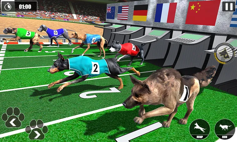 Cách Chơi Game Nhanh Đua Chó Tại 789Win Chuẩn Chuyên Gia