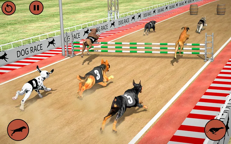 Cách Chơi Game Nhanh Đua Chó Tại 789Win Chuẩn Chuyên Gia